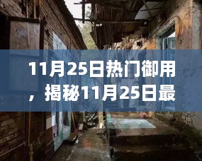 揭秘，11月25日最炫御用小巷隐秘美食之旅，味蕾与好奇心交织的奇妙体验