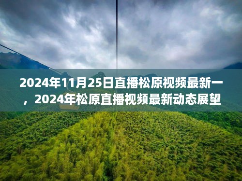 2024年松原直播视频最新动态展望，松原直播视频最新一