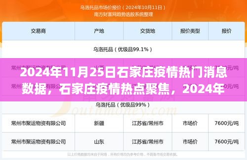 2024年11月25日石家庄疫情深度观察与数据剖析，热门消息及热点聚焦