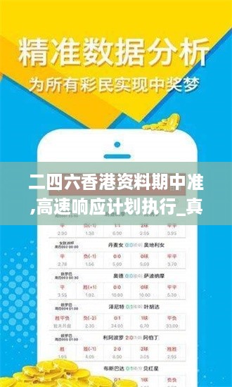 二四六香港资料期中准,高速响应计划执行_真实版EOP16.21