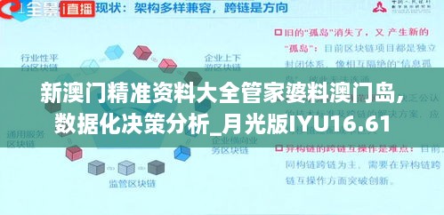 新澳门精准资料大全管家婆料澳门岛,数据化决策分析_月光版IYU16.61