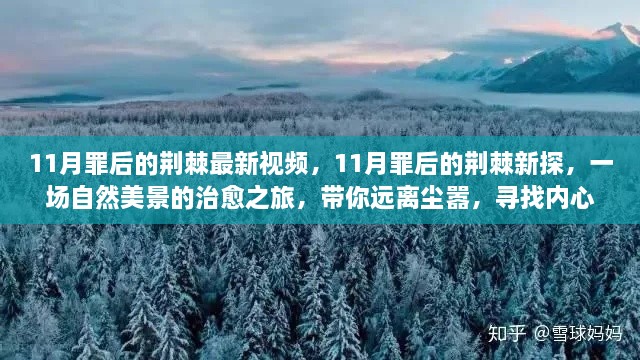 11月罪后的荆棘新探，自然美景的治愈之旅，追寻内心的宁静与喜悦