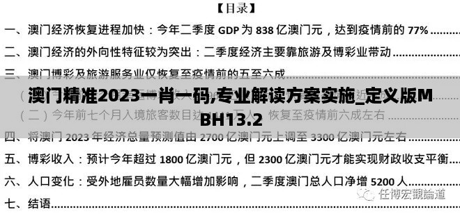 澳门精准2023一肖一码,专业解读方案实施_定义版MBH13.2