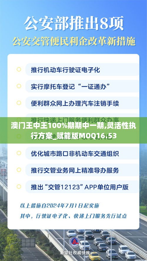 澳门王中王100%期期中一期,灵活性执行方案_赋能版MOQ16.53