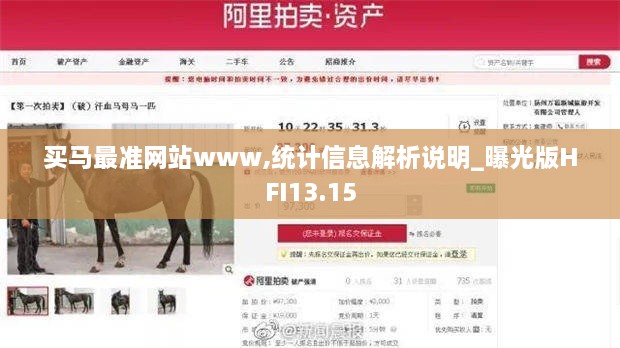 买马最准网站www,统计信息解析说明_曝光版HFI13.15