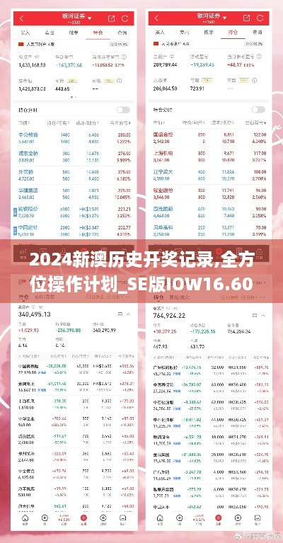 2024新澳历史开奖记录,全方位操作计划_SE版IOW16.60