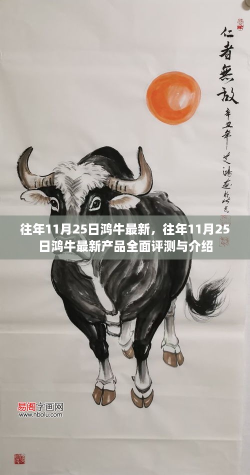 往年11月25日鸿牛最新产品全面介绍与评测