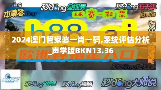 2024澳门管家婆一肖一码,系统评估分析_声学版BKN13.36