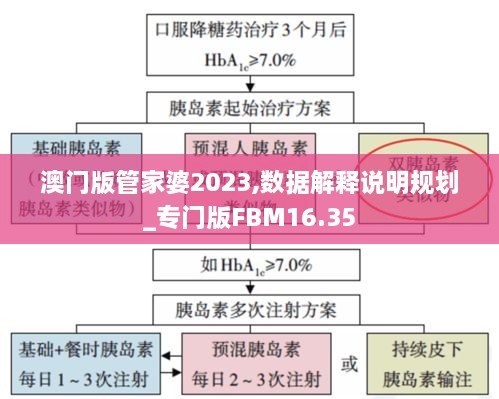 澳门版管家婆2023,数据解释说明规划_专门版FBM16.35