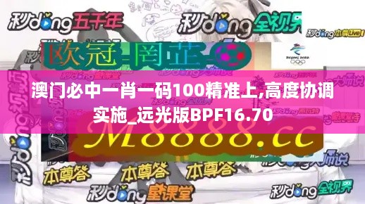 澳门必中一肖一码100精准上,高度协调实施_远光版BPF16.70