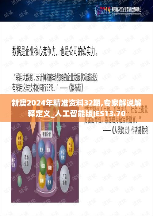 新澳2024年精准资料32期,专家解说解释定义_人工智能版JES13.70