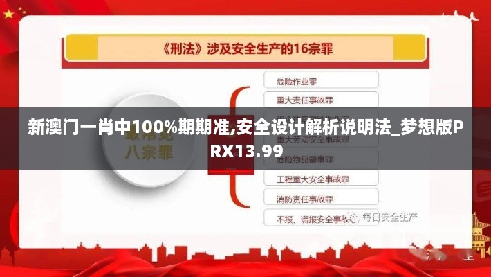 新澳门一肖中100%期期准,安全设计解析说明法_梦想版PRX13.99