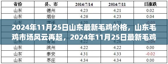 山东毛鸡市场最新动态，深度解析毛鸡价格走势与趋势预测（2024年11月25日）