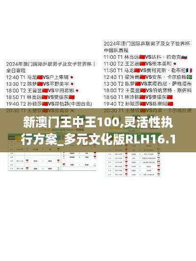 新澳门王中王100,灵活性执行方案_多元文化版RLH16.11