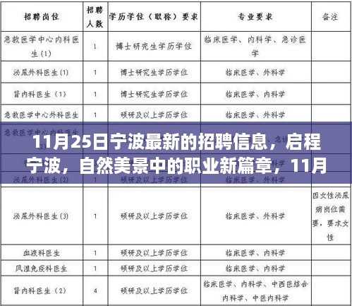 宁波最新招聘信息，启程探索自然美景中的职业新篇章