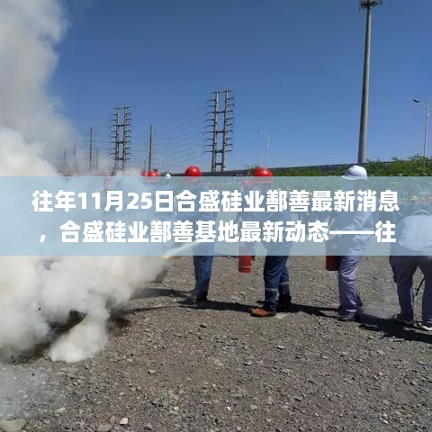 合盛硅业鄯善基地最新动态报道，历年11月25日综述