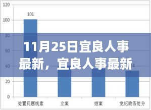 宜良人事最新任务指南，从入门到进阶的学习与发展全攻略（11月25日更新）