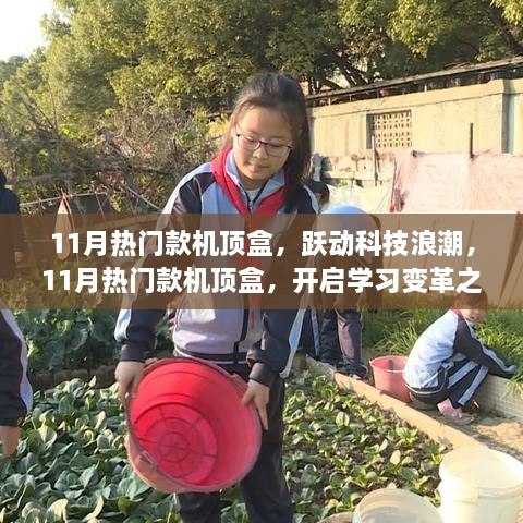 跃动科技浪潮，11月热门机顶盒，开启智能学习之旅，成就自信与精彩人生