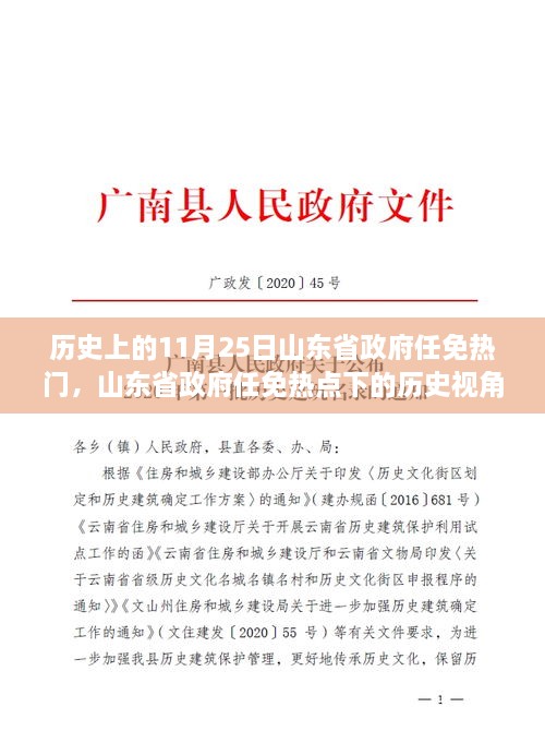 山东省政府任免热点背后的历史深度解读与观点碰撞，历史视角下的11月25日观察