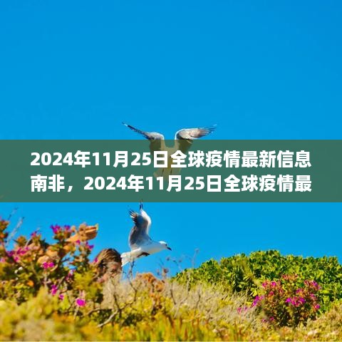 全球疫情最新信息聚焦南非，南非疫情动态及防控措施