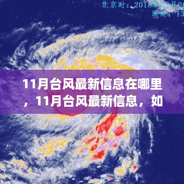 获取最准确的台风动态，揭秘11月台风最新信息获取渠道与动态更新