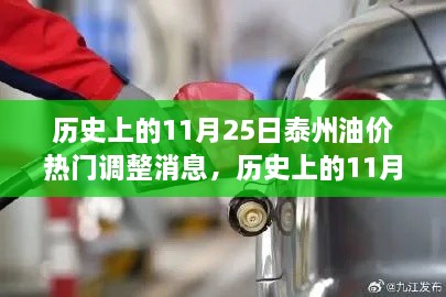 历史上的11月25日泰州油价调整深度解析与多维评测，热门消息汇总