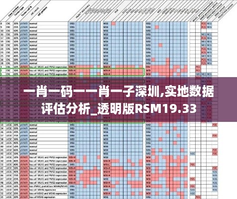 一肖一码一一肖一子深圳,实地数据评估分析_透明版RSM19.33