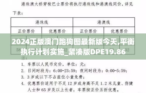 2024正版澳门跑狗图最新版今天,平衡执行计划实施_紧凑版DPE19.86