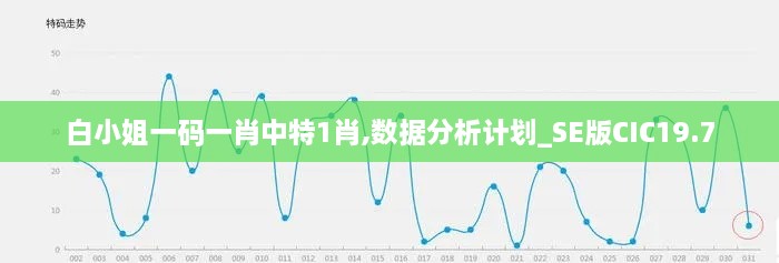 白小姐一码一肖中特1肖,数据分析计划_SE版CIC19.7