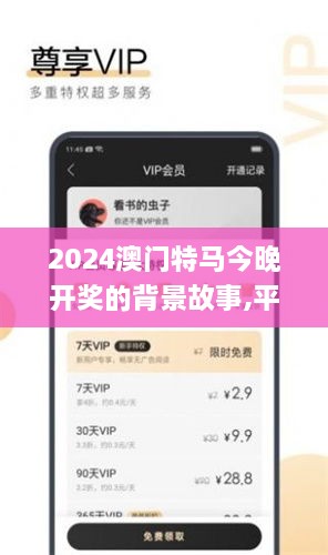 2024澳门特马今晚开奖的背景故事,平衡执行计划实施_豪华款SYT19.59