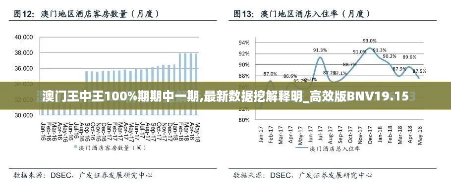 澳门王中王100%期期中一期,最新数据挖解释明_高效版BNV19.15