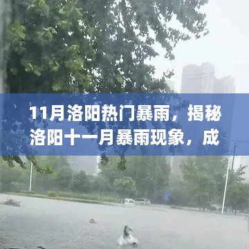 揭秘洛阳十一月暴雨现象，成因、影响与应对措施，洛阳暴雨来袭引发关注热议