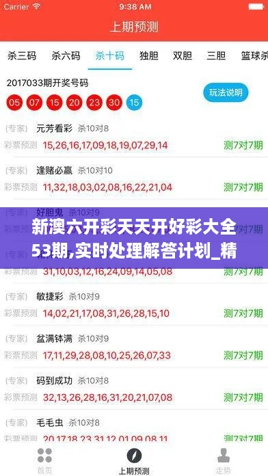 新澳六开彩天天开好彩大全53期,实时处理解答计划_精英版BZY19.79