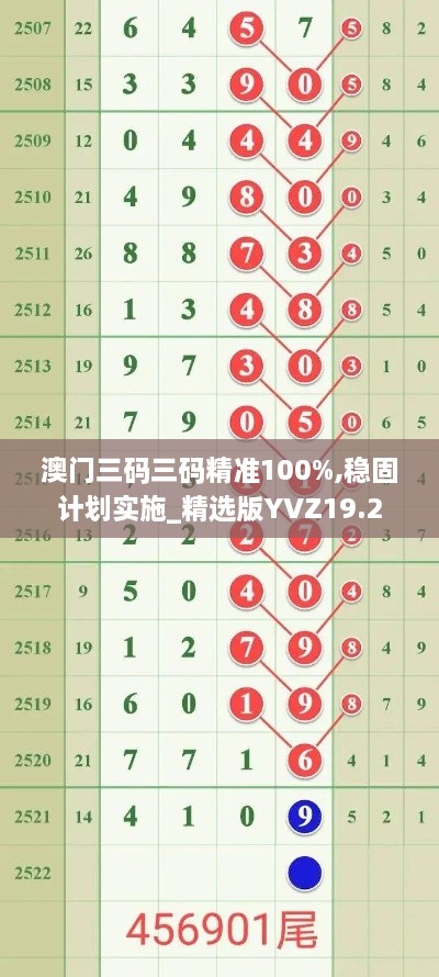 澳门三码三码精准100%,稳固计划实施_精选版YVZ19.2