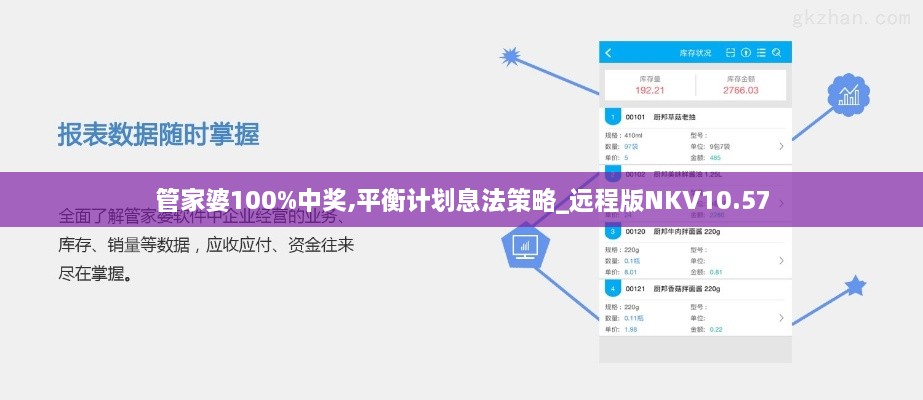 管家婆100%中奖,平衡计划息法策略_远程版NKV10.57