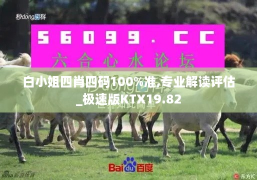 白小姐四肖四码100%准,专业解读评估_极速版KTX19.82