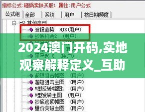 2024澳门开码,实地观察解释定义_互助版WKQ10.79