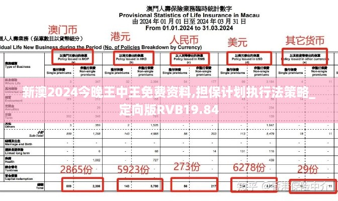 新澳2024今晚王中王免费资料,担保计划执行法策略_定向版RVB19.84