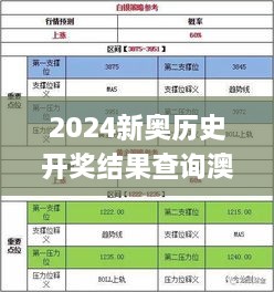 2024新奥历史开奖结果查询澳门六,即时解答解析分析_精选版EWC19.59