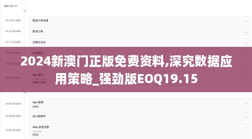 2024新澳门正版免费资料,深究数据应用策略_强劲版EOQ19.15