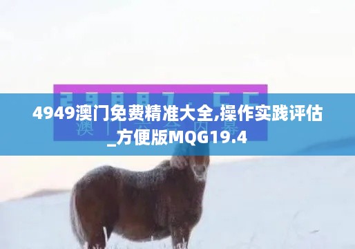 4949澳门免费精准大全,操作实践评估_方便版MQG19.4