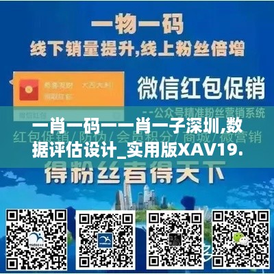 一肖一码一一肖一子深圳,数据评估设计_实用版XAV19.26