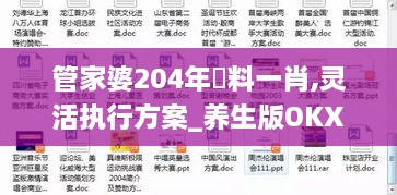 管家婆204年資料一肖,灵活执行方案_养生版OKX10.91