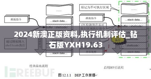 2024新澳正版资料,执行机制评估_钻石版YXH19.63