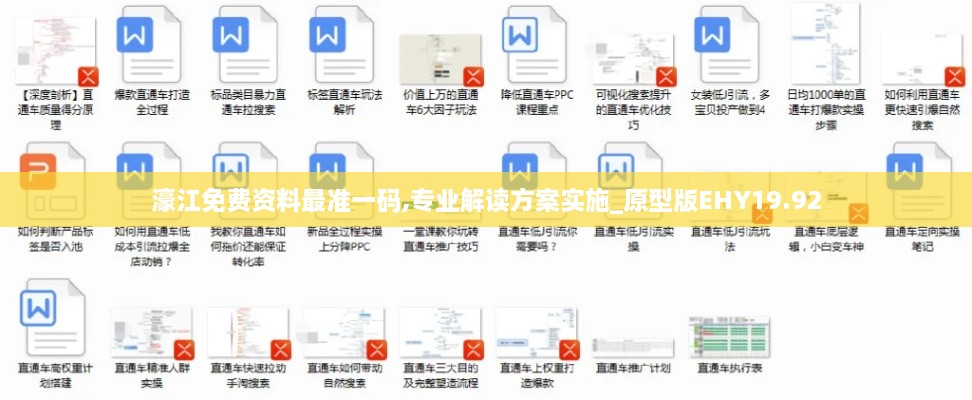 濠江免费资料最准一码,专业解读方案实施_原型版EHY19.92