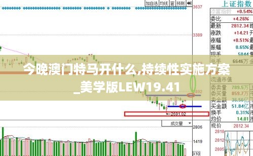 今晚澳门特马开什么,持续性实施方案_美学版LEW19.41