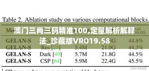 澳门三肖三码精准100,定量解析解释法_珍藏版VRO19.58