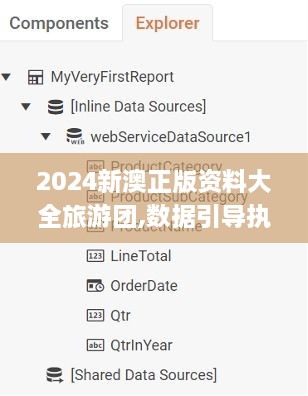 2024新澳正版资料大全旅游团,数据引导执行策略_互助版RIK19.96