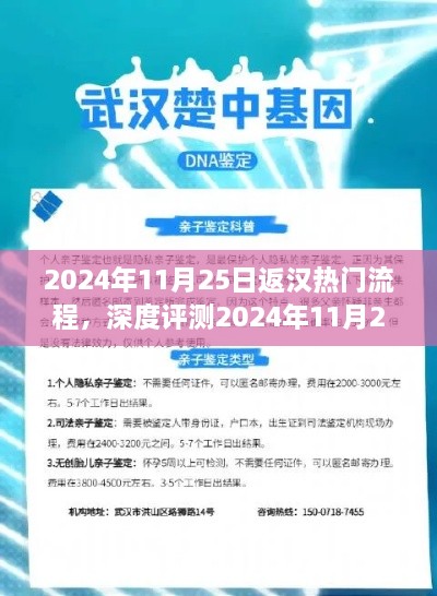 深度解析，2024年11月25日返汉热门流程一站式体验与全方位解读