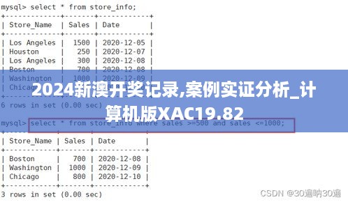 2024新澳开奖记录,案例实证分析_计算机版XAC19.82